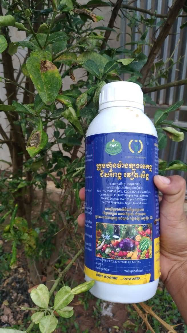 Liquid fertilizer in field